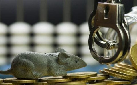 期货延期费率是什么(期货费率11是什么水平)